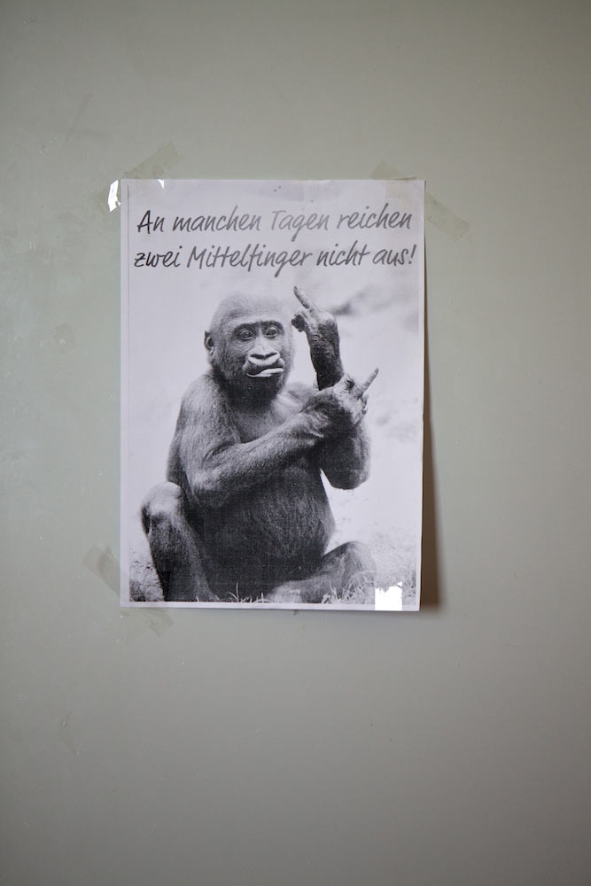 Paula Markert – Was jetzt so alles rauskommt / DIE ZEIT Hamburg / 2016 schanzenhof_007-1.jpg