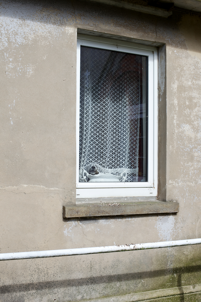 Paula Markert – Heimsen - Versuch über ein Dorf / 2015 heimsen_006.jpg