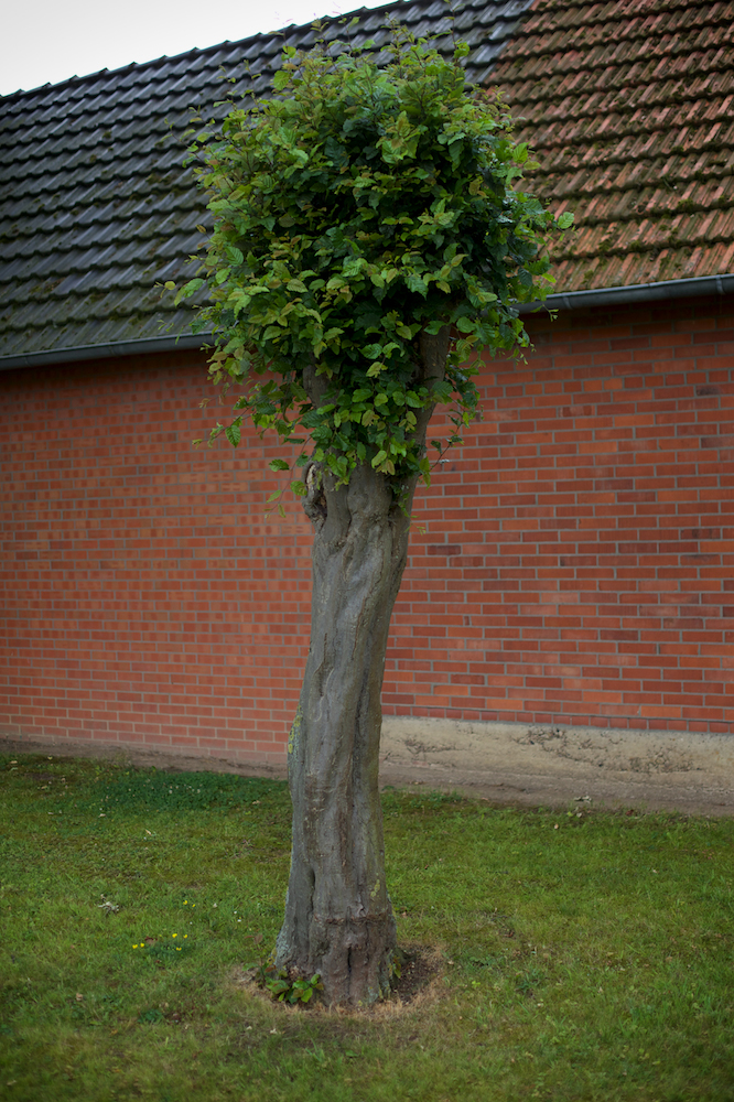 Paula Markert – Heimsen - Versuch über ein Dorf / 2015 heimsen_012.jpg