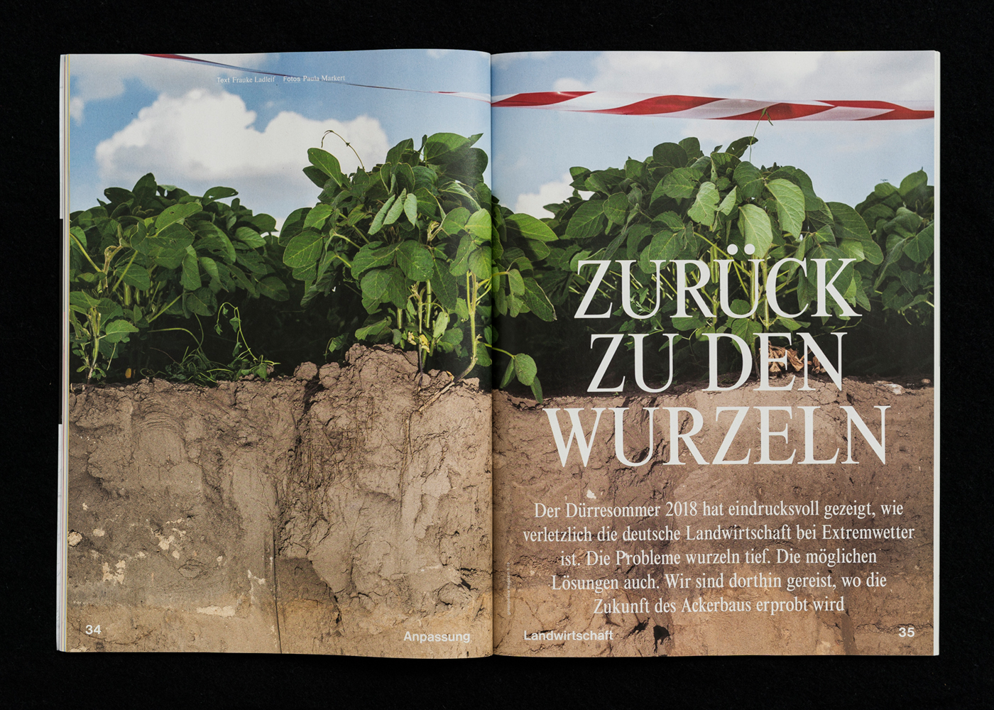 Paula Markert – Zurück zu den Wurzeln / Greenpeace Magazine / 2019 zurueck_zu_den_wurzeln_43-1.jpg