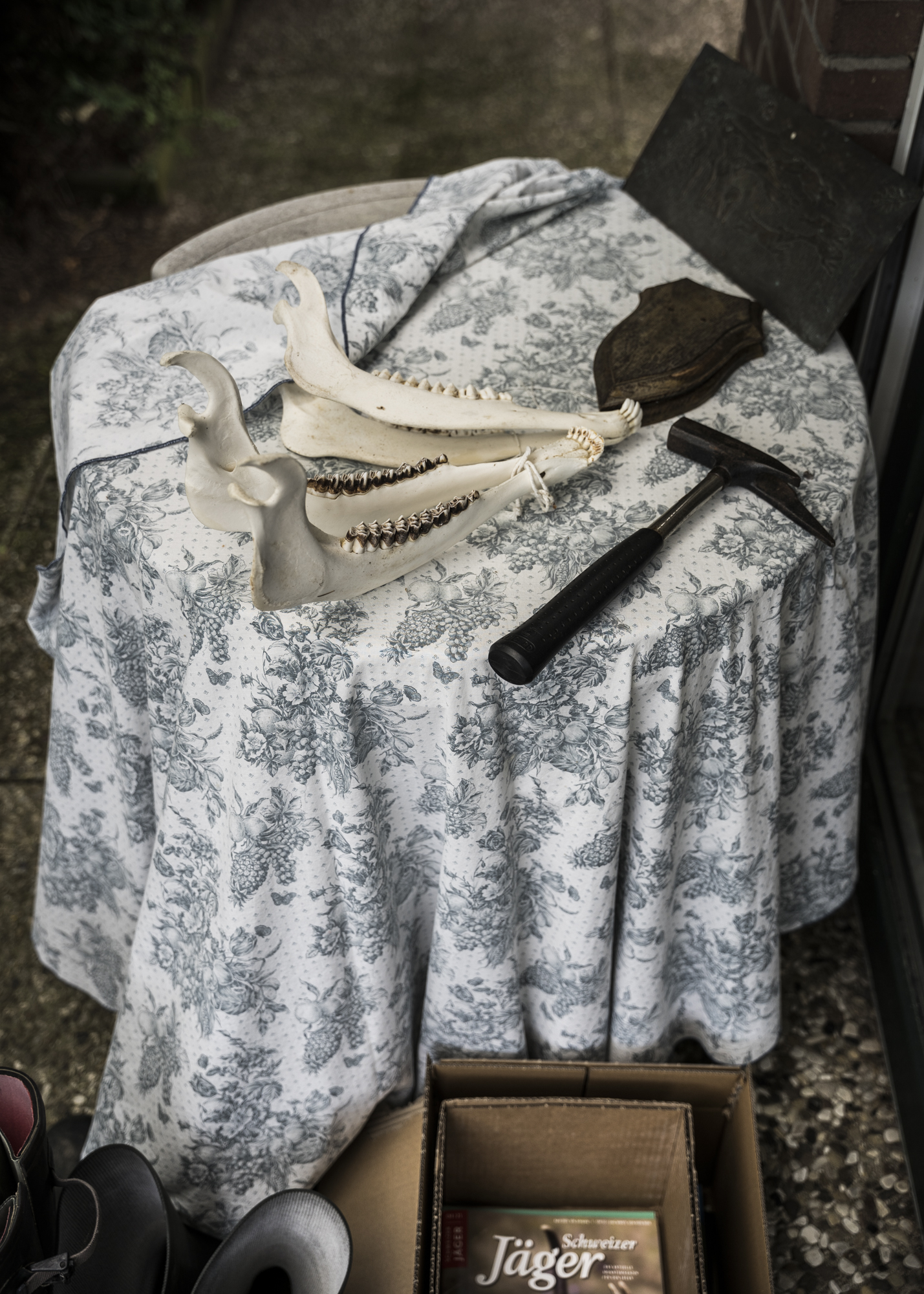 Paula Markert – Hunting expert Gerd G. von Harling / Cicero / 2021 jagd_02.jpg