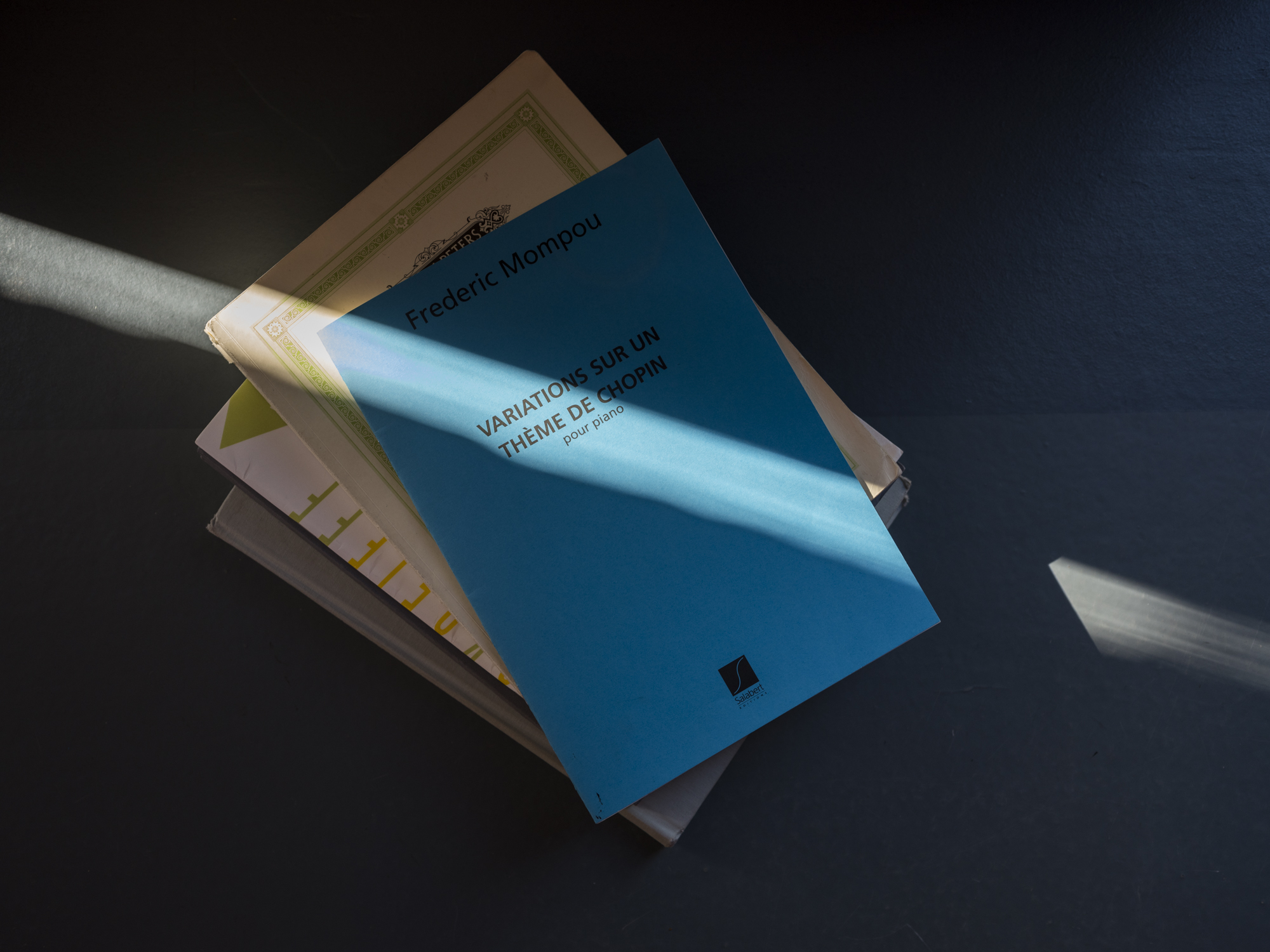 Paula Markert – "I have to strive up, to the light and the air" / DIE ZEIT Christ und Welt / 2021 vernoique_elling_004.jpg